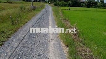 Định cư_bán Rẻ đất nhà có được kv Sinh thái An nhàn HƯNG LONG H.BC HCM