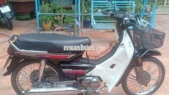 Astra xe nhập indonesia