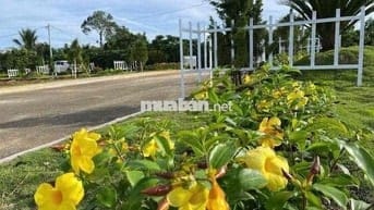 Lô đất thổ cư 550tr Rào sẳn cây ăn trái Lộc An