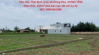 Bán đất tại Xã Nam Phú, Tiền Hải, Thái Bình (nay xã Hưng Phú,HƯNG YÊN)