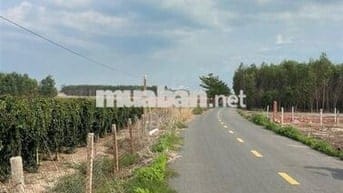 Bán 10m mặt tiền đường trà cổ, cách KDL suối mơ 500m