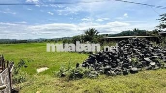 Cần tiền bán gấp lô đất mặt tiền tỉnh lộ 2