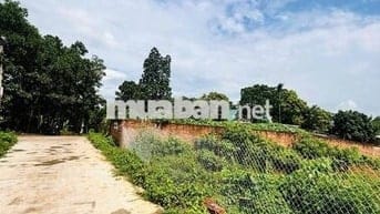 BÁN ĐẤT THANH BA PHÚ THỌ 1000m