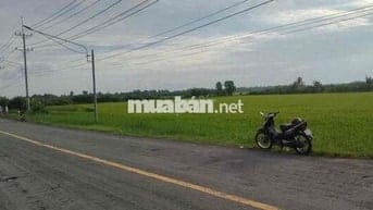 Đất chính chủ cần bán MT DT872B, 1ha có 2000 tc, chỉ hơn 9 tỉ