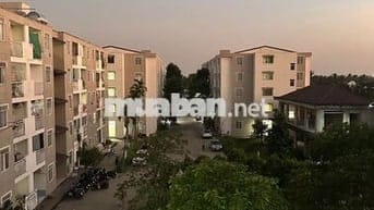 Xả lỗ chung cư về quê trồng rau