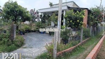 Nhà Đất 10 x 60 full thổ chính chủ