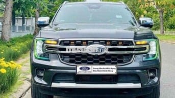 Ford Everest 2023 Xám 47.000 km