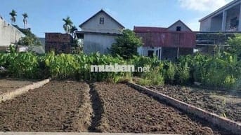 Đất 60m2 HXH 3,5m Văn Xá, Quốc Tuấn, An Dương 820 triệu