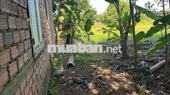 CHÍNH CHỦ BÁN 4543 m đất , có 200m thổ cư tỉnh bình phước