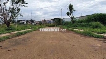 BÁN ĐẤT PHÚ HỘI ĐỨC TRỌNG LÂM ĐỒNG