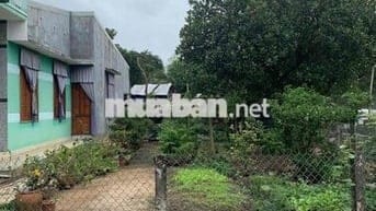 Chính chủ cần bán lô đất tại Xã Tuy Phước Tây, Tỉnh Gia Lai