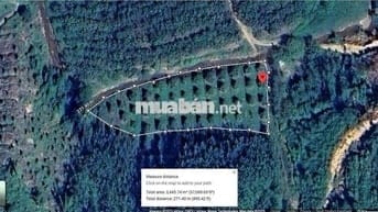 Bán Đất tại DT721, Đạ Kho, Đạ Tẻh, Lâm Đồng, 2.5 tỷ, 3.3ha