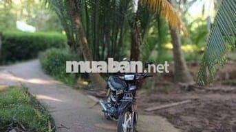 VƯỜN DỪA ĐANG CHO TRÁI–CHÍNH CHỦ CẦN BÁN tại (Ấp 3, Xã Phước Long)