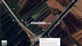 Bán 11 công đất mặt tiền đê quốc phòng, xã Lình Huỳnh, huyện Hòn Đất