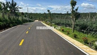 ĐẤT CHÍNH CHỦ BÁN 20 LÔ ĐẤT Xã Hòa Ninh, Huyện Di Linh, Tỉnh Lâm Đồng