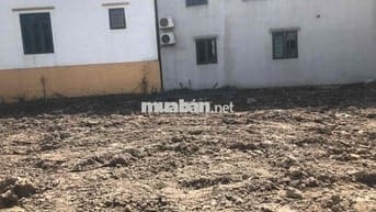 Đất 50m2 ngang 4,2m TDP Chiến Thắng, Đặng Cương giá đầu tư