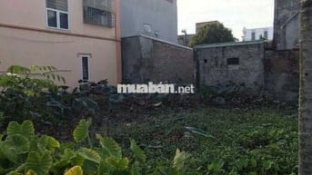 Cần bán đất ở Trang Quan , An Hải, Hải Phòng