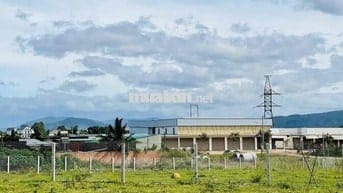 Bán lô đất tại xã Đức Trọng, sẵn sổ, giá chỉ 980 triệu