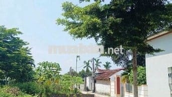 TÔI CẦN BÁN LÔ GÓC 61M FULL  ĐƯỜNG THÔNG TRỤC CHÍNH KINH DOANH ĐƯỢC