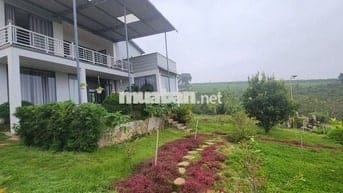 nhà biệt thự vườn 6.000m2 rất đẹp ven đà lạt