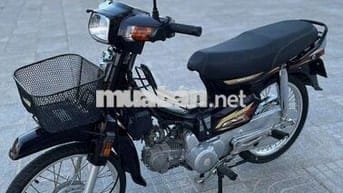 Dream thái bán hoặc giao lưu