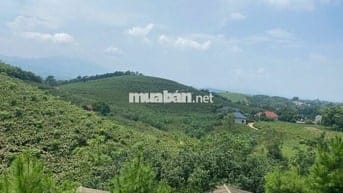 ĐẤT NGHỈ DƯỠNG LƯNG TỰA NÚI, VIEW THOÁNG, 2500M²