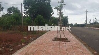 1ha2 đất có 12m mặt đường lê thánh tông phường bắc gia nghĩa giá 4t2