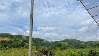 BÁN LÔ ĐẤT VIEW CAO THOÁNG – CÓ SẴN NHÀ SÀN MỚI TẠI KIM BÔI, HÒA BÌNH