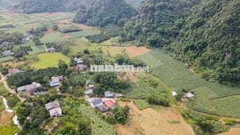 BÁN 1,4HA ĐẤT NGHỈ DƯỠNG CÓ THỔ CƯ TẠI KIM BÔI HOÀ BÌNH SIÊU ĐẸP