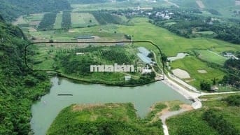 2,9HA BÁM HỒ SÃN TRANG TRẠI LÀM FARM SẠCH SIÊU RẺ TẠI KIM BÔI HOÀ BÌNH