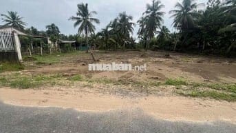 Đất nền 1011m2 cây lâu năm mặt tiền nhựa xã An Ngãi Trung, Ba Tri