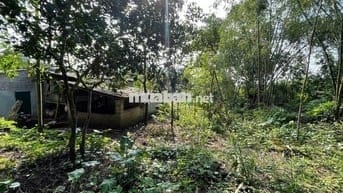 BÁN 2000M BÁM DỰ ÁN SUNGROUP TẠI KIM BÔI HOÀ BÌNH GIÁ ĐẦU TƯ