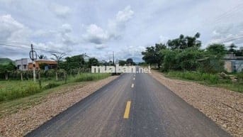 Chính chủ cần bán 2000m2 mặt tiền DT711 có sẵn 500m2 thổ cư