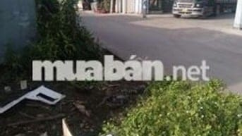 Cho thuê nhà mặt tiền đối diện Công Ty TĐF và gần nhiều Công Ty khác