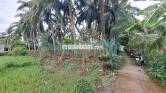 📣 CHÍNH CHỦ BÁN ĐẤT CÓ THỔ CƯ - GIÁ 500 Triệu - CÁCH TP GÒ CÔNG 6KM 🔥