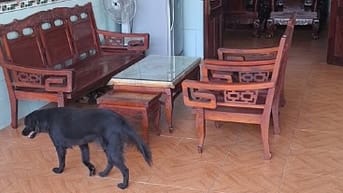 TÌM NGƯỜI CÓ SỨC KHỎE CHĂM CỤ ÔNG 80 TUỔI