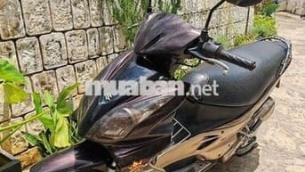 Suzuki Hayate đầu đèn Thái