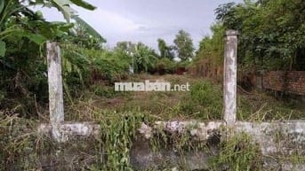 Đất full thổ cư gần bệnh viện đa khoa