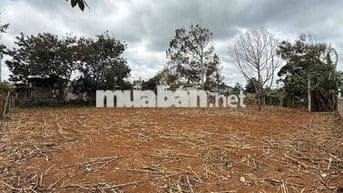 Đất Full hồng mặt tiền dài gần QL 14 P Buôn Hồ giá rẻ