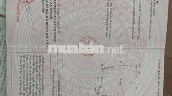 3ha đất SKC 50 năm đóng thuế 1 lần, Thanh tuyền, dầu tiếng (40 tỷ)