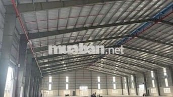 Cho thuê kho xưởng 6552 m2 trong KCN tại Xã Đức Hòa, Tỉnh Tây Ninh