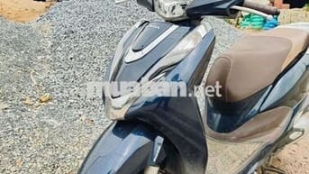 Honda Lead 125 Xanh đen