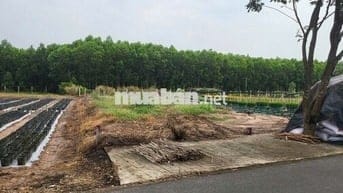 Bán đất kinh doanh gần cổng chính kcn Đất Đỏ 190.5m2