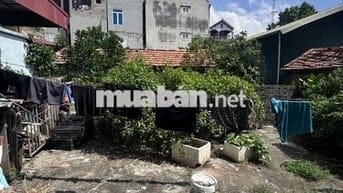 📍 Bán đất Trung Kiên – Tây Tựu, Bắc Từ Liêm – Giá 7 tỷ 3 DT 88m²,