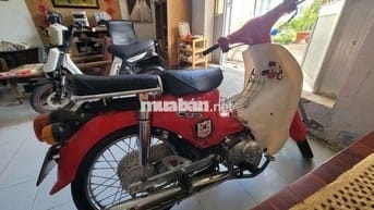 Bán xe cub học sinh