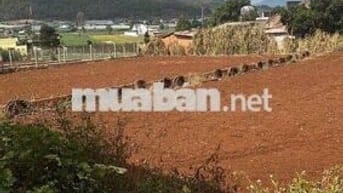 Bán đất Suối Thông B cách Đà Lạt 30km khu dân cư