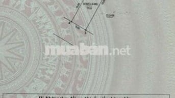 Bán đất đấu giá Điếm Tổng- Tân Ước- Thanh Oai , giáp khu D  Olympic