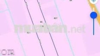 CHÍNH CHỦ CẦN RA ĐI GẤP LÔ ĐẤT TẠI CHỢ GẠO - TIỀN GIANG