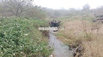 Cực hiếm ở Mộc Châu: 1,9 hecta 1 suối 4 mó nước quanhnăm 1 đồi săn mây