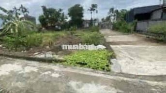 Đất 117m2 lô góc Tẩm Thượng, Việt Tiến chỉ 1,05 tỷ